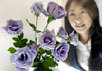 Японская корпорация Suntory объявила, что в ее лабораториях сделан решающий шаг к созданию голубых роз. Голубая роза - старая цель цветоводов и генетиков, которая до недавнего времени оставалась призрачной мечтою. Методы классической селекции позволили вы
