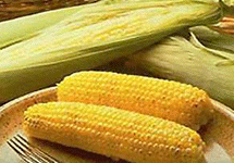 Кукуруза. Фото с сайта www.cooking-book.ru