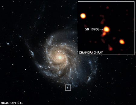Сверхновая SN 1970G. Изображение NASA (X-ray: NASA/CXC/GFSC/S.Immler & K.Kuntz; Optical: NOAO/AURA/NSF/G.Jacoby, B.Bohannan & M.Hanna) с сайта chandra.harvard.edu