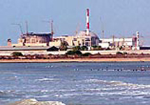 АЭС в Бушере, фото с сайта Newsru.com