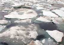 Лед. Фото с сайта elementy.ru