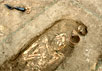 Синай. Женский скелет, найденный в могиле возле военной крепости. Фото The New York Times
