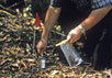 Ученый-эколог из BYU Ричард Тэрри занят сбором образцов почвы. Фото Brigham Young University