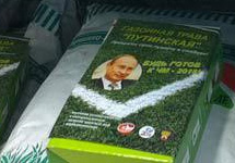 Газонная трава Путинская. Фото http://radulova.livejournal.com/