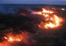 В Сибири в тушении пожаров участвуют тысячи людей и 24 воздушных судна