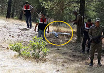 Неопознанный беспилотник, сбитый турецкими ВВС. Фото с сайта www.hurriyet.com.tr