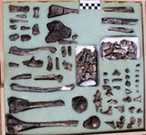 Самые старые человеческие кости из Эфиопии. Фото с сайта www.utah.edu