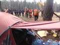 Лагерь отделили от просеки колючей проволокой. Фото Дмитрия Зыкова