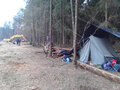 Цаговский лес: работы идут уже рядом с лагерем. Фото Дмитрия Зыкова
